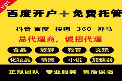 行业专家眼中的SEM竞价培训：成功要素与挑战